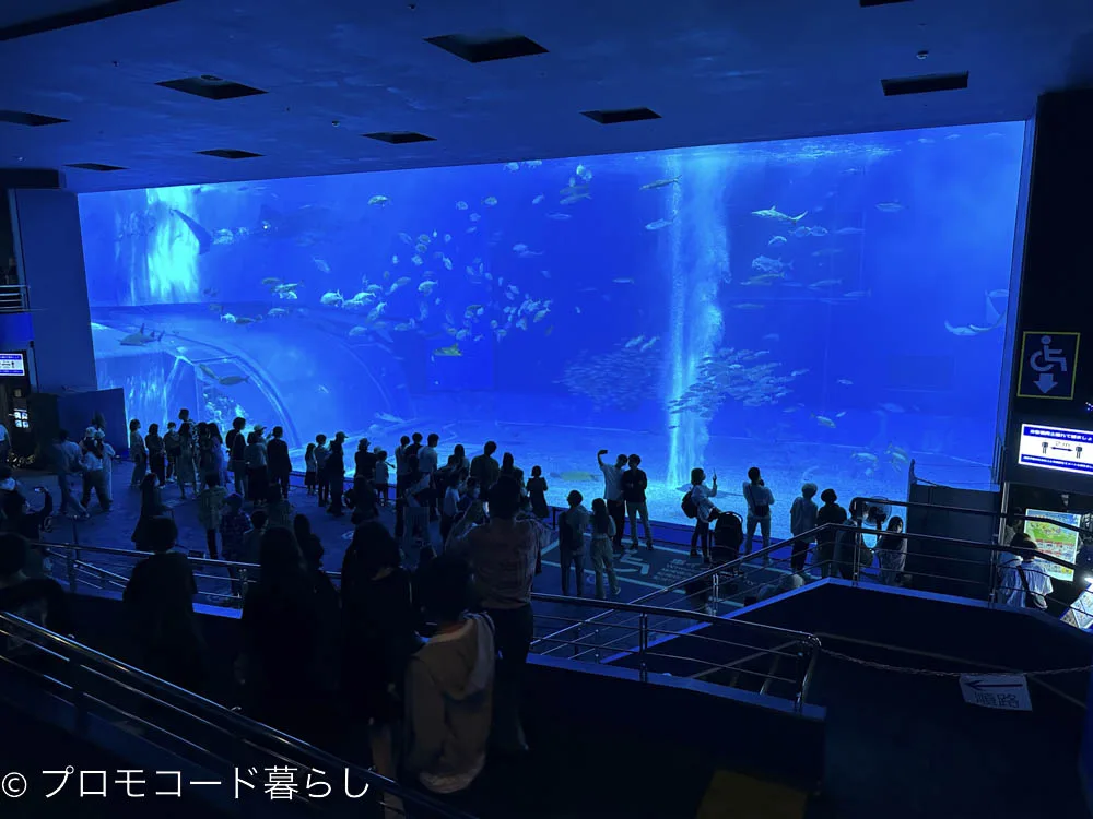 沖縄美ら海水族館